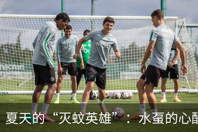 夏天的“灭蚊英雄”：水虿的心酸与美味的代价