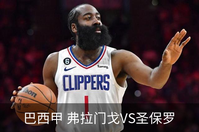 巴西甲 弗拉门戈VS圣保罗