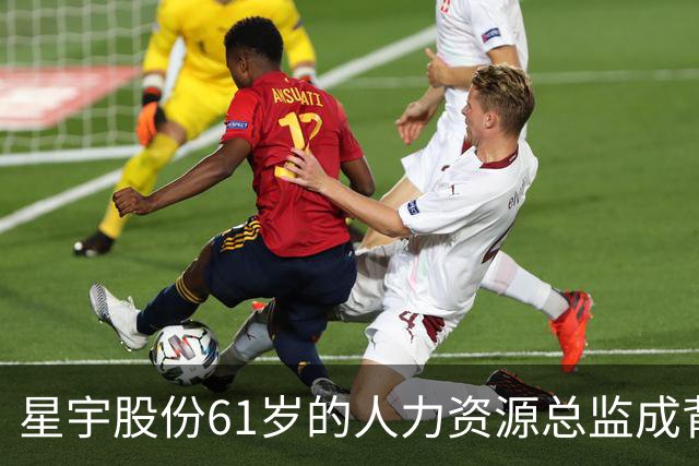 星宇股份61岁的人力资源总监成背锅侠，撤回处罚通报原因曝光