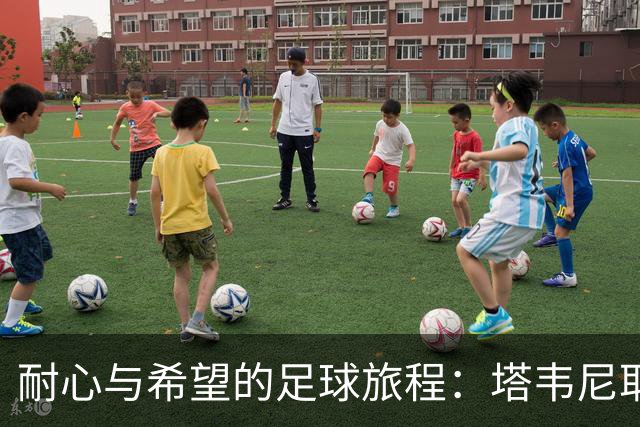 耐心与希望的足球旅程：塔韦尼耶的闪耀时刻