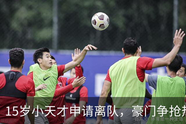 15岁小天才申请离队，豪门争抢热闹非凡！